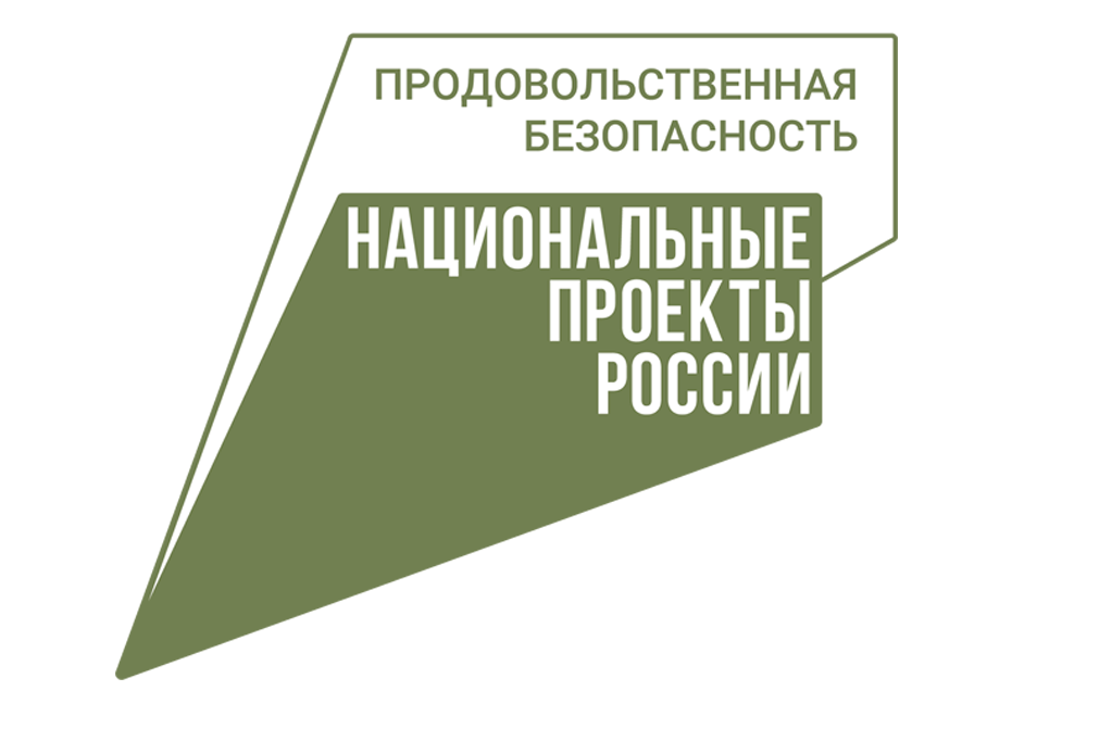 Национальный проект &amp;quot;Малое и среднее предпринимательство&amp;quot;&amp;quot;.