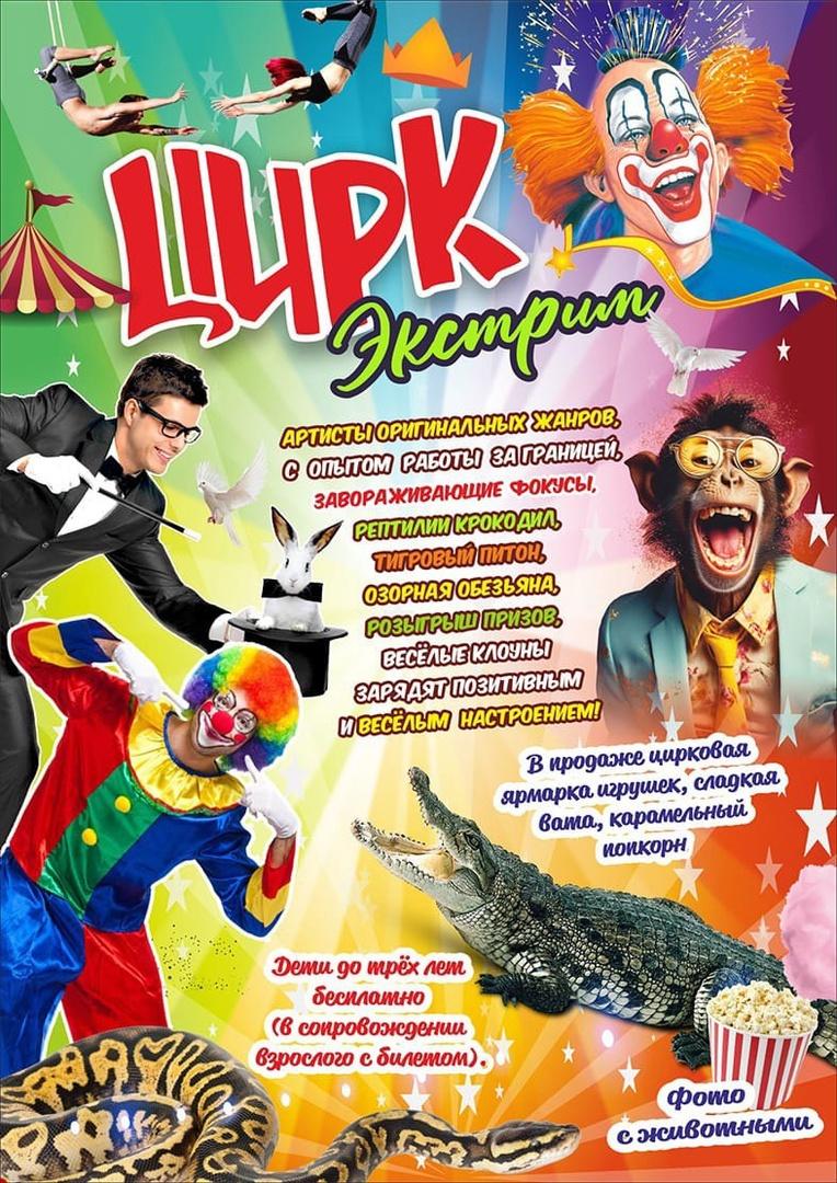 Состоится цирковое шоу.