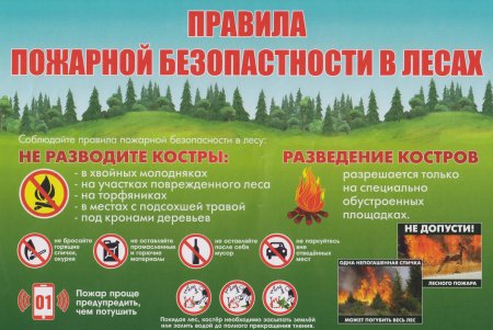 Пожарная безопасность в лесу.
