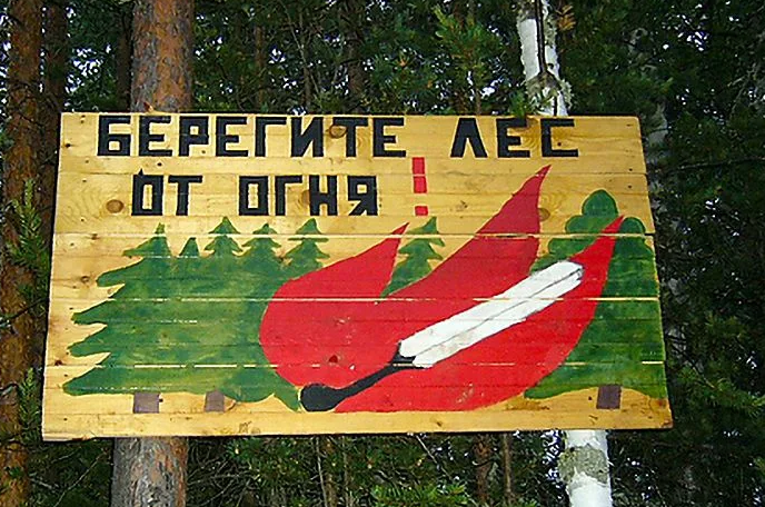 В Рослесхозе рассказали, как не получить штраф за отдых в лесу.