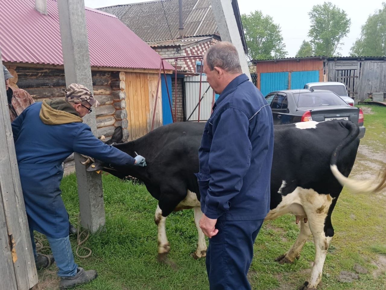 Отряд по проведению дезинсекционных работ приступил к мероприятиям по защите людей и животных.