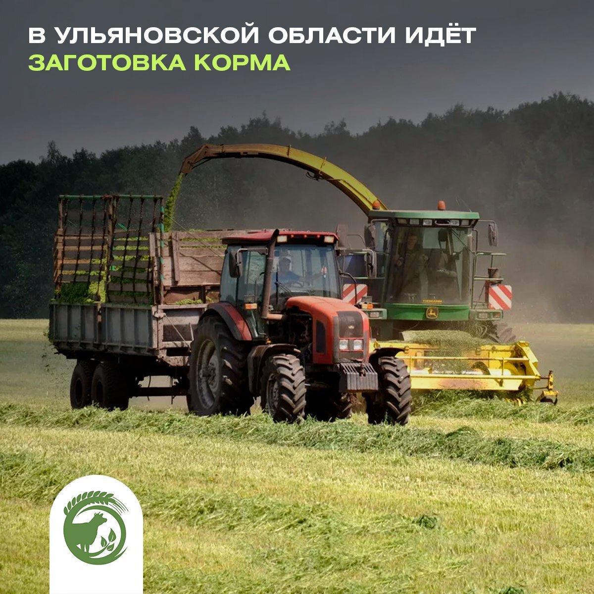 Восемь муниципальных образований Ульяновской области заготавливают корма.