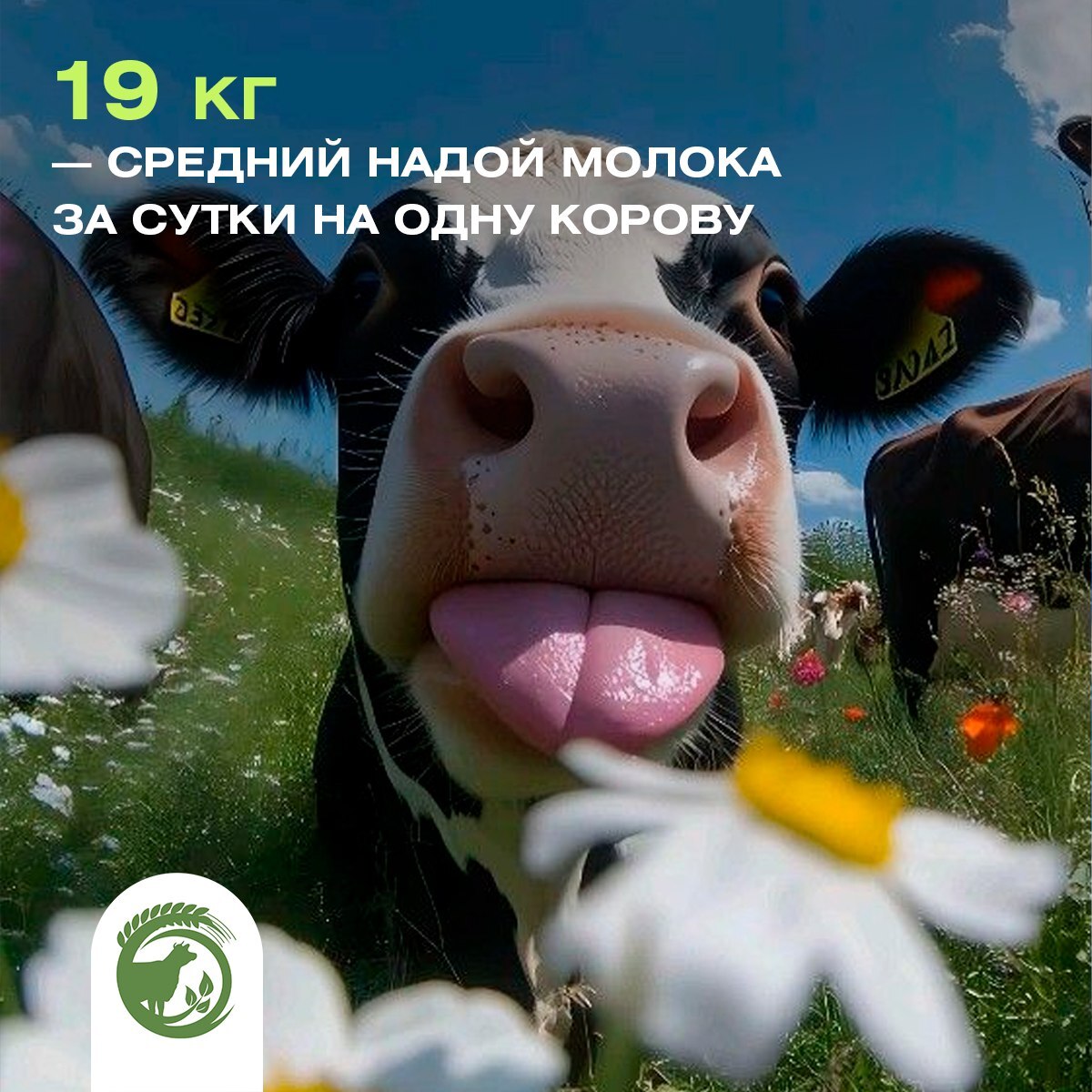 Минсельхоз информирует.