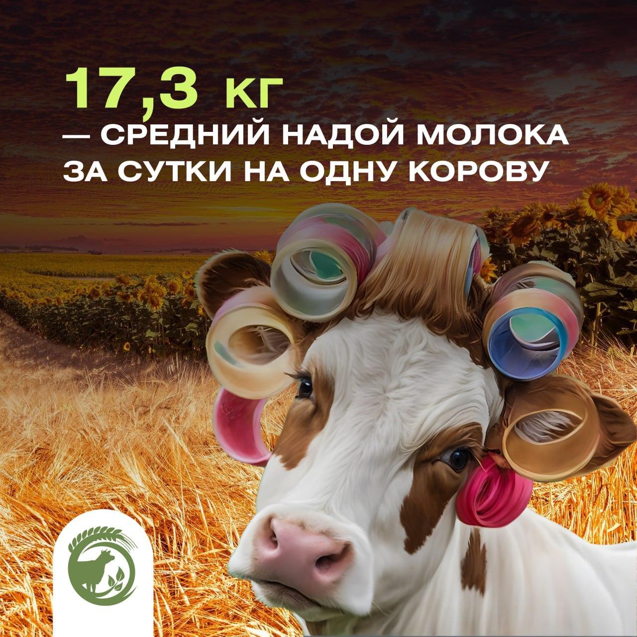 Средний надой молока за сутки на одну корову составил.