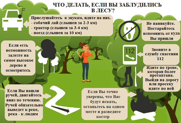 Если вы потерялись в лесу. Памятка.