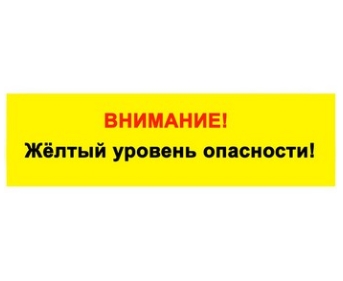 Объявляется «желтый» уровень опасности: в ближайшие 1-2 часа с сохранением до 21-23 час. 30 июля ожидается гроза, при грозе шквалистое усиление ветра 17-22 м/с, локально град..