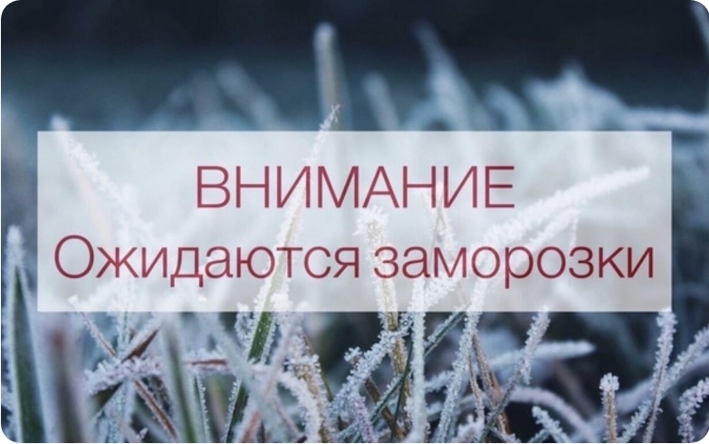 Предупреждение об опасном явлении погоды на территории Ульяновской области: Объявляется «оранжевый» уровень опасности: Ночью и утром 26 августа местами ожидаются заморозки на поверхности почвы до -1°.