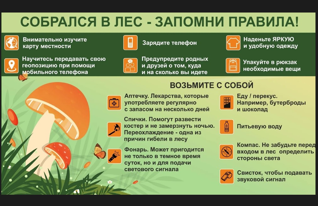 СОБРАЛСЯ В ЛЕС , ЗАПОМНИ ПРАВИЛА!.