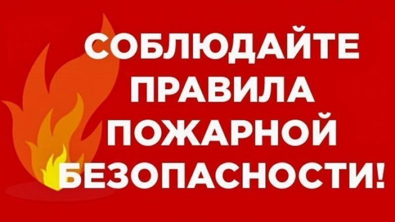 МЧС России не может проверить пожарную безопасность твоего дома или квартиры.