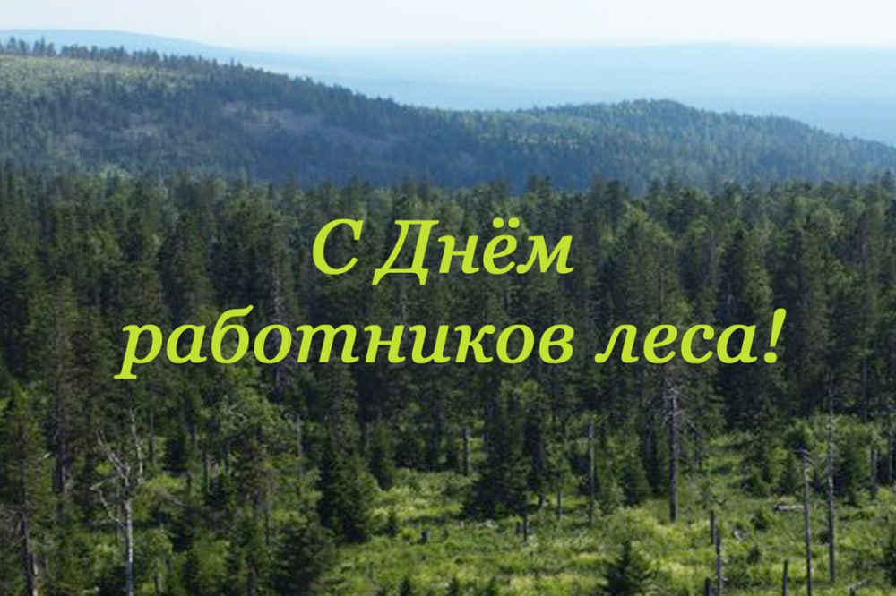 Поздравляю вас с профессиональным праздником – Днём работников леса!.