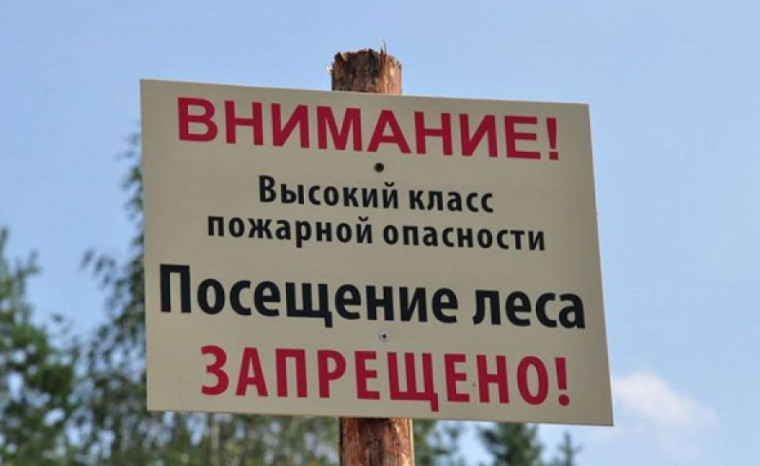 Запрет на посещение лесов продлен в регионе до 31 августа. Запрет на посещение лесов продлен в регионе до 31 августа.