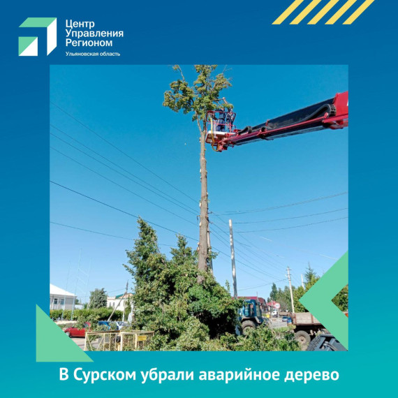 В Сурском убрали аварийное дерево . В Сурском убрали аварийное дерево .