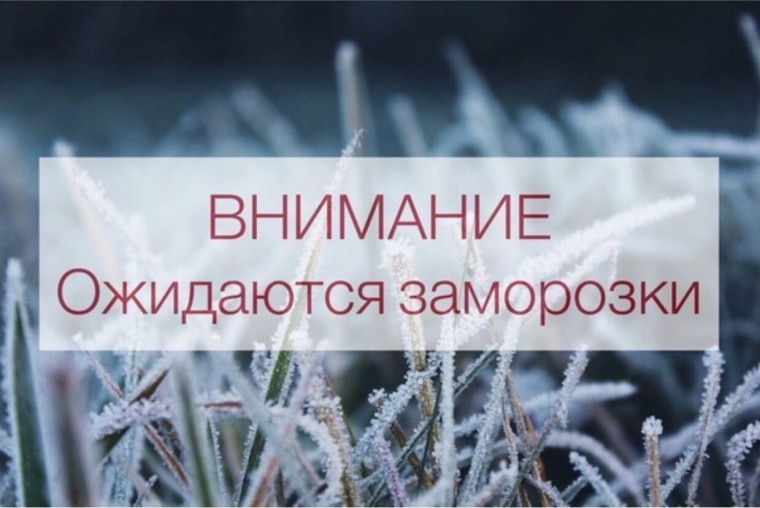 Предупреждение об опасном явлении погоды на территории Ульяновской области: Объявляется «оранжевый» уровень опасности: Ночью и утром 26 августа местами ожидаются заморозки на поверхности почвы до -1°.
