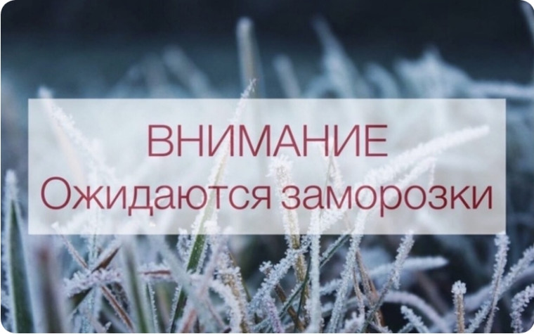 Предупреждение об опасном явлении погоды на территории Ульяновской области: Объявляется «оранжевый» уровень опасности: Ночью и утром 26 августа местами ожидаются заморозки на поверхности почвы до -1°. Предупреждение об опасном явлении погоды на территории Ульяновской области: Объявляется «оранжевый» уровень опасности: Ночью и утром 26 августа местами ожидаются заморозки на поверхности почвы до -1°.