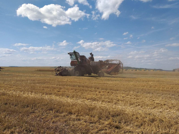 Уборочная кампания в Сурском районе продолжается.