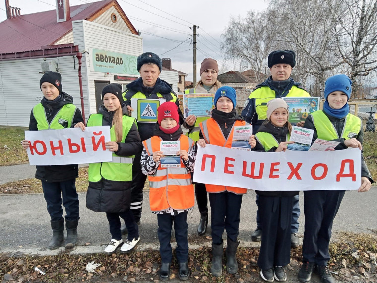 Юный пешеход. Юный пешеход.