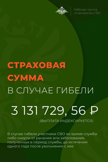 Страховая сумма в случае гибели. Страховая сумма в случае гибели.