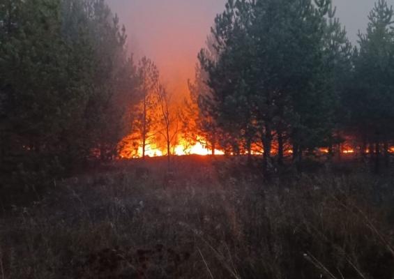 Объявляется пожароопасный сезон. Объявляется пожароопасный сезон.