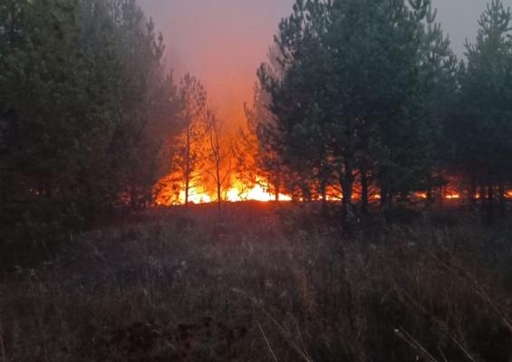 Объявляется пожароопасный сезон.