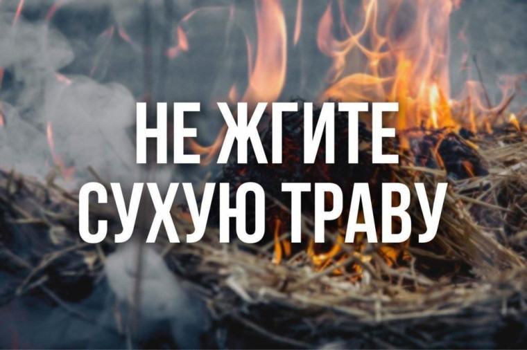 Не жгите сухую траву. Не жгите сухую траву.