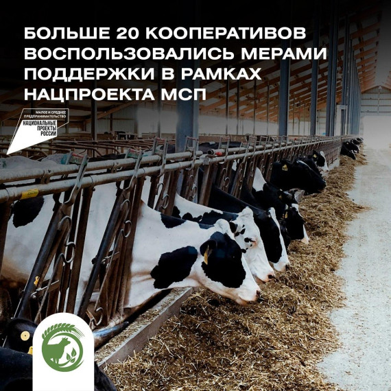 Кооперативы воспользовались мерами поддержки в рамках нацпроекта МСП. Кооперативы воспользовались мерами поддержки в рамках нацпроекта МСП.
