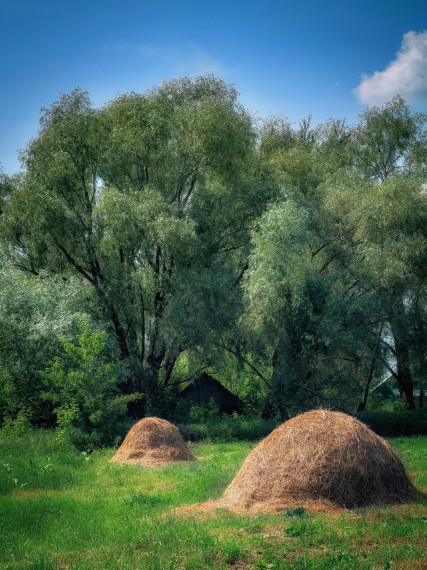 Пожелаем доброго утра. Пожелаем доброго утра.