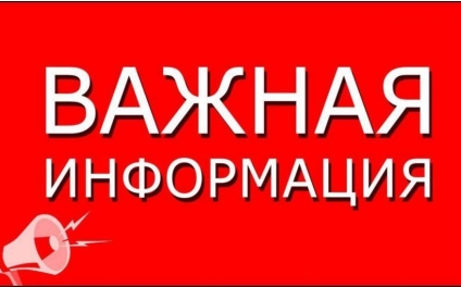 Африканская чума свиней в Сурском районе. Африканская чума свиней в Сурском районе.
